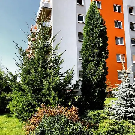 Apartman Belle View Brassó