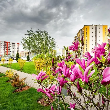 Apartman Belle View