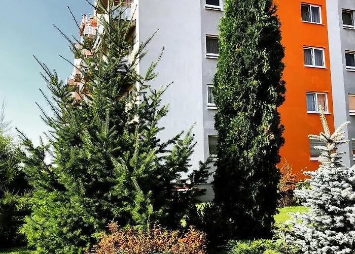 Apartment Belle View Brasov