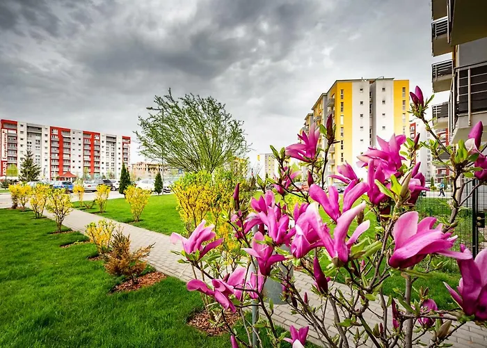 Apartment Belle View