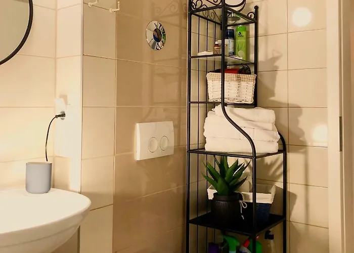 Apartment Belle View Brasov